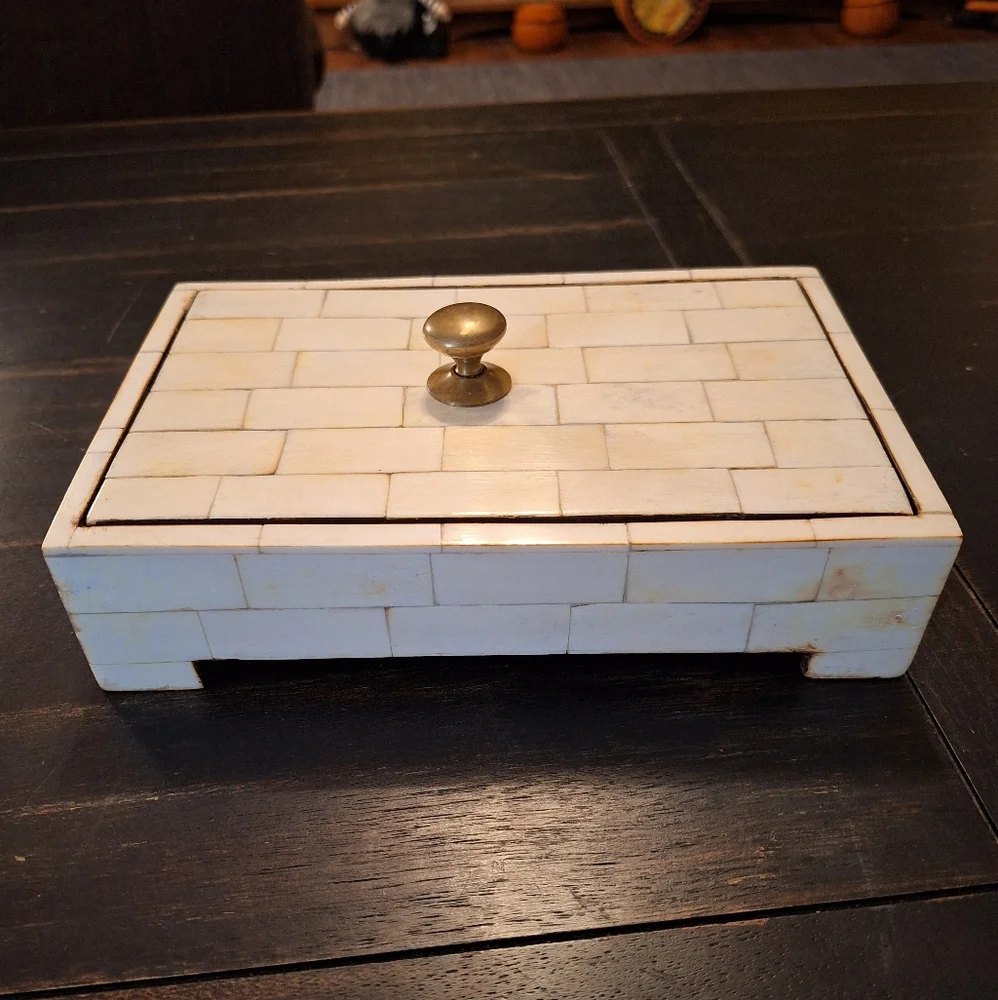 Bone and Brass Box